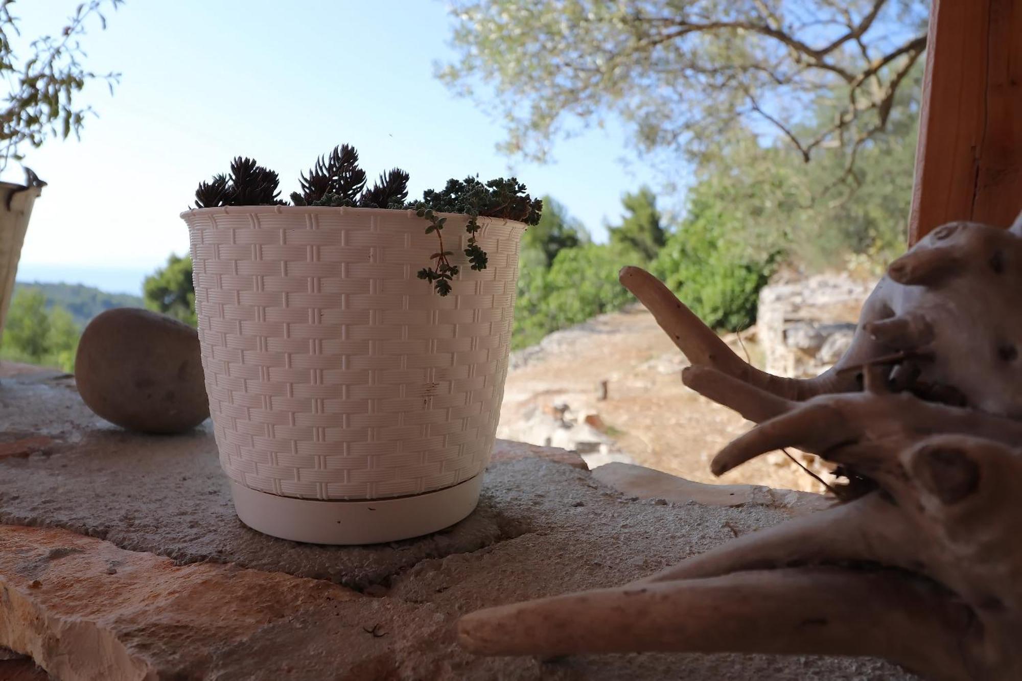 Greenside Cottage Lumi Vela Luka Εξωτερικό φωτογραφία