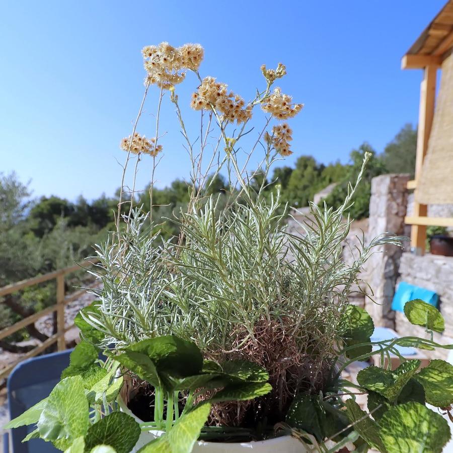 Greenside Cottage Lumi Vela Luka Εξωτερικό φωτογραφία